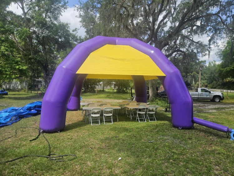 Purple / Yellow Spider Tent
