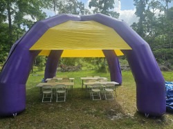 Messenger creation BAA9C397 B1B3 4704 BCB2 6AE90F531F0D 174855245 1 Purple / Yellow Spider Tent